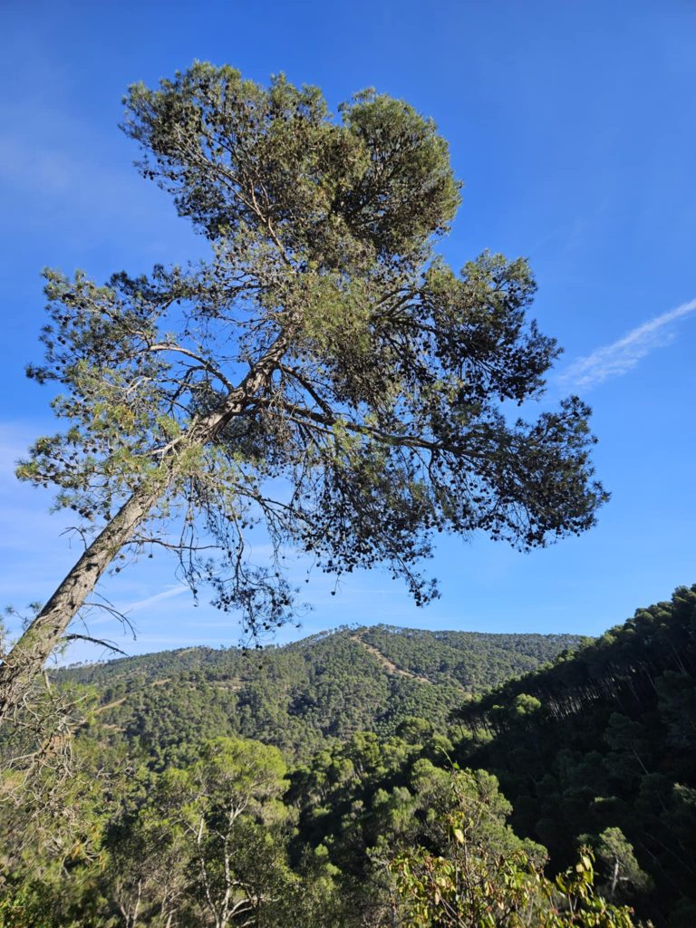 wandelen spanje